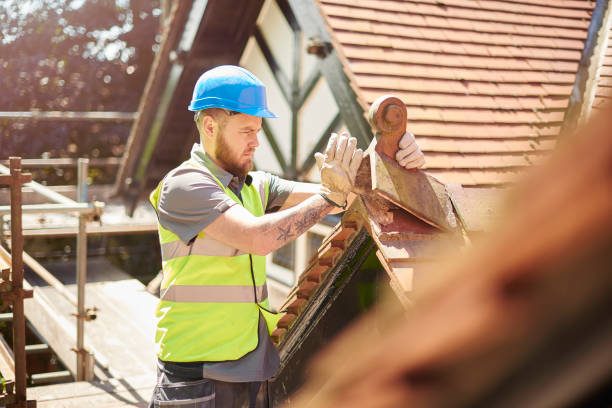 Best Commercial Roofing Services  in Dixon, IL
